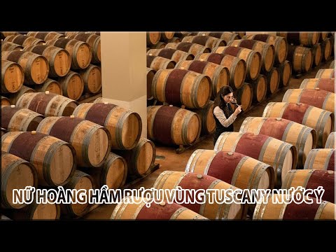 Video: Hướng dẫn Hoàn chỉnh để Tham quan Chianti, Ý