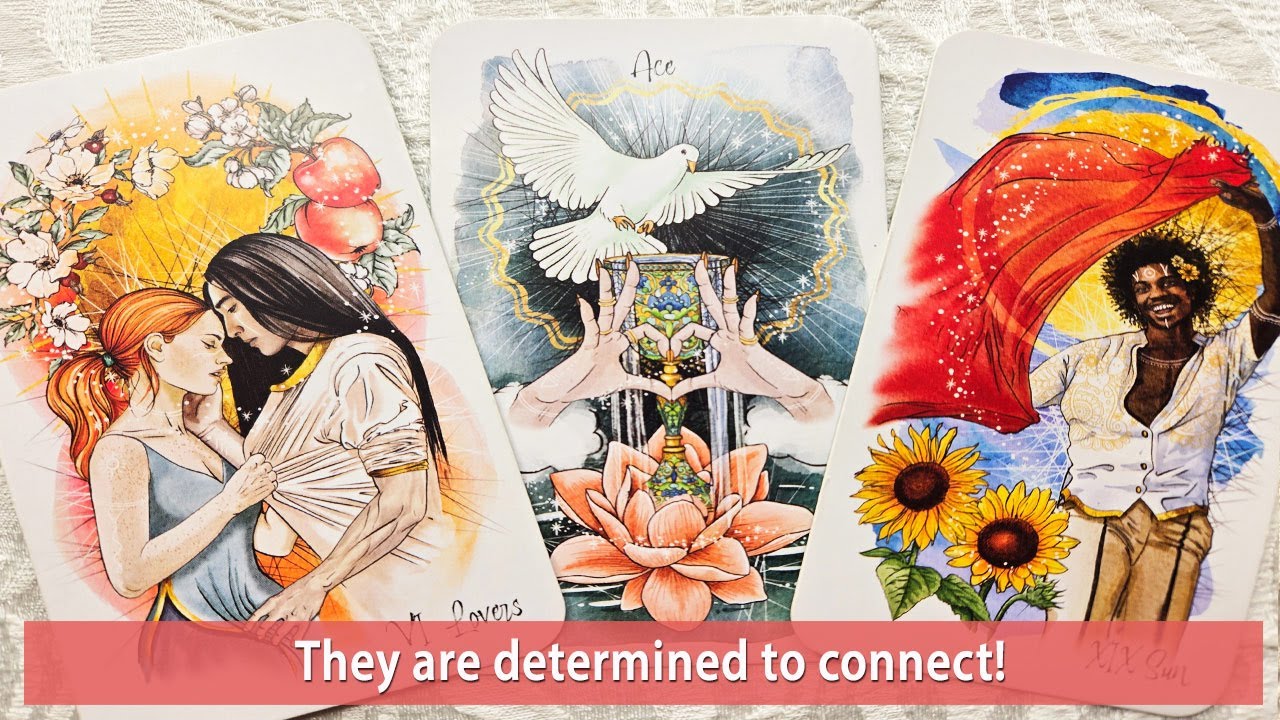 The Emperor is taking control of this situation. They are determined to connect.😎⚖️🧨