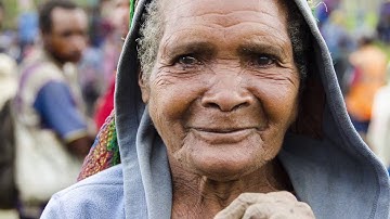 Twenty Years of Saving Tree Kangaroos