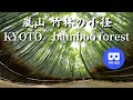 京都 嵐山 竹林の小径 02 KYOTO Arashiyama bamboo forest japan