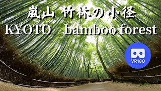 京都 嵐山 竹林の小径 02 KYOTO Arashiyama bamboo forest japan
