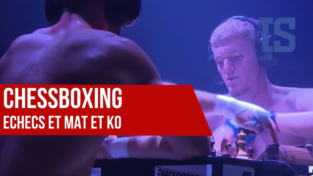 C'est quoi le Chessboxing ? Tout ce qu'il faut savoir sur le sport hybride  - Breakflip