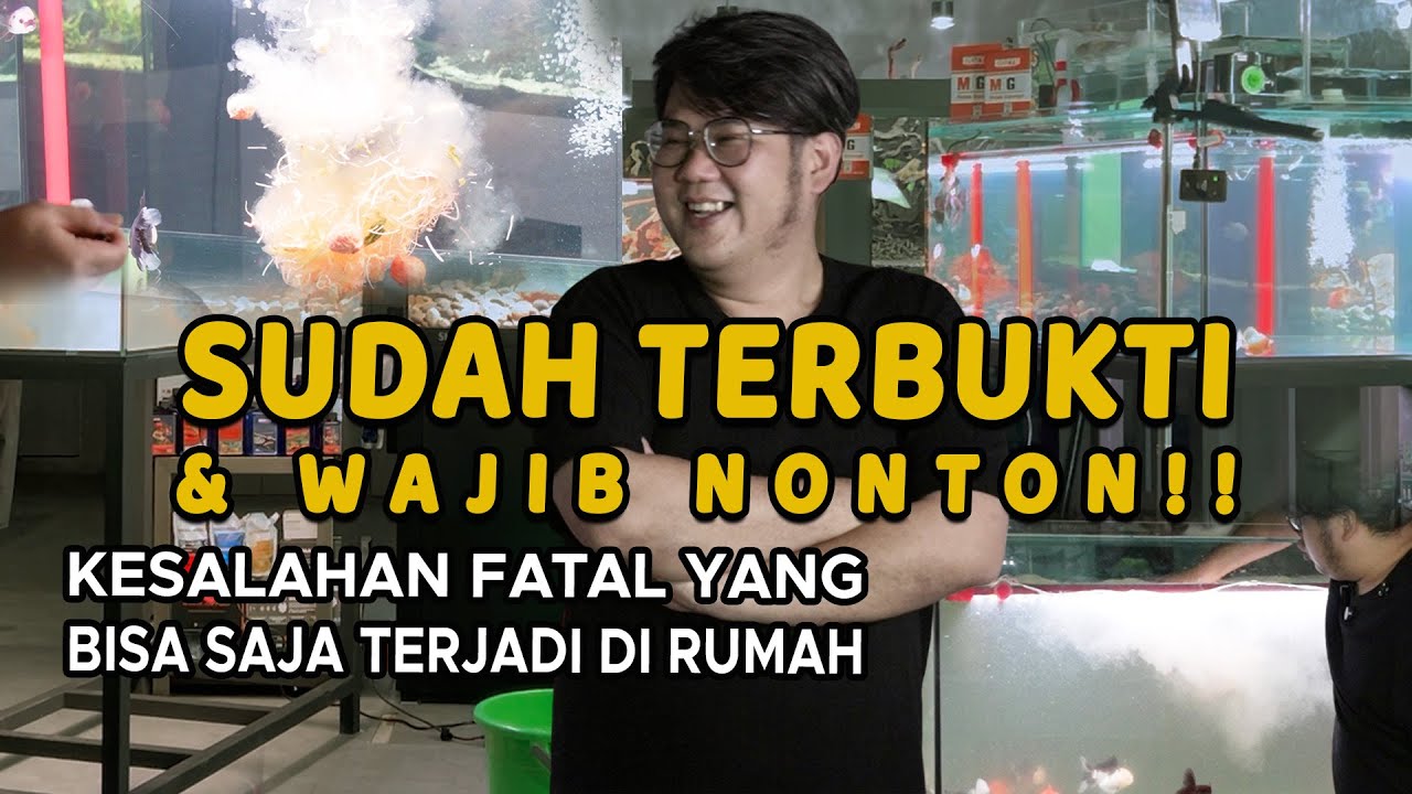 SOLUSI AQUARIUM UNTUK RUMAH DENGAN ANAK KECIL