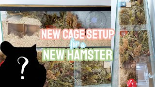 Natural Hamster Cage Setup for a New Hamster - German Inspired Enclosure + Haul 🐹🍄🌿