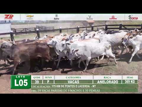Lote L05