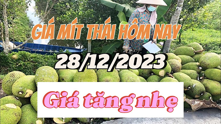 So sánh mít nghệ và mít thái