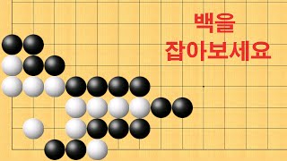 바둑 묘수 사활  기가막힌 묘수가 나옵니다. 백을 잡아보세요