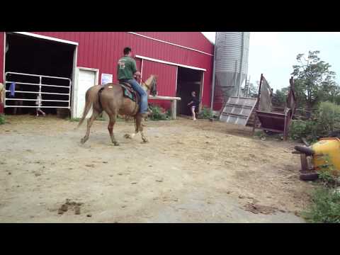 M4H00056.MP4