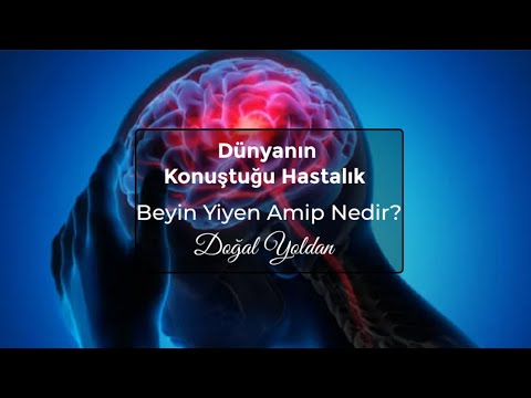 Beyin Yiyen Amip Nedir, Nasıl Bulaşır?