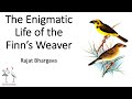 Delhibird talks the enigmatic world of the finns weaver rajat bhargava