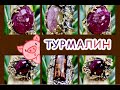 ТУРМАЛИН💋КаМеНь ЛюБВи и МоЛоДоСТи💄Усиливает сексуальную  энергию🫀Заряжает организм как батарейка