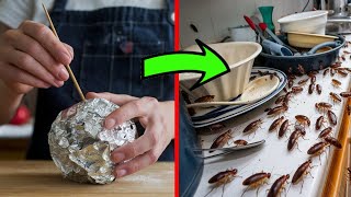 UNBELIEVABLE Trick For Getting Rid of Cockroaches with Aluminium Foil Balls