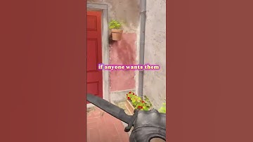 😞 Moving on from CS2 — passing my collection to you