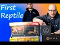 Getting Your First Reptile? Watch This First! | Tips and Tricks For Getting A New Reptile.