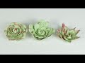 How to Make Sugar Succulent Flowers Echeveria Rhondo Agave step by step tutorial - Cake Decorating