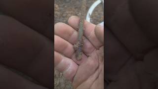 ww1 russian bunker excavation from rigasfrontline easternfront #german #ww1 #digging #deus #ww2