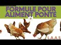 Formule pour aliment ponte