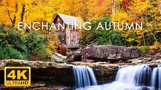 11 Hours Of 4k Enchanting Autumn Nature Scenes  Relaxing Piano  For Stress Relief 3