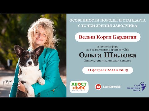 ВЕЛЬШ КОРГИ КАРДИГАН / Спикер - Шилова Ольга Борисовна