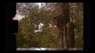 Farewell to Summer | 4K Super 8 Film on Kodak 50D