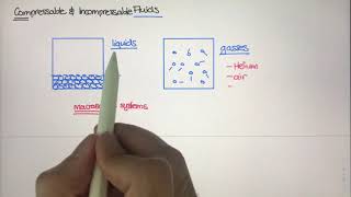 The Macroscopic Study of Fluids [Physics of Fluid Mechanics #4]