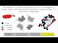 Protein Structure and Function Quiz
