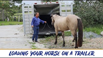Float training your horse with Ken - Top Tips Tuesday