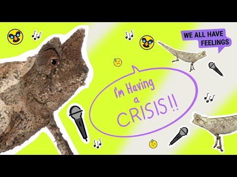 What’s The Point Of Me? | Animals in Therapy | On the Edge