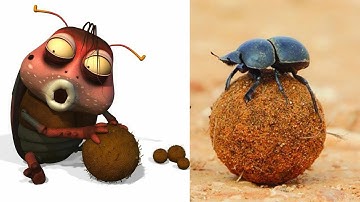 LARVA CHARACTERS IN REAL LIFE