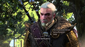 The Witcher 3: Shock Therapy - The Silent Druid