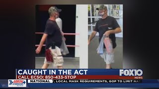 Caught in the Act: Walmart shoplifter