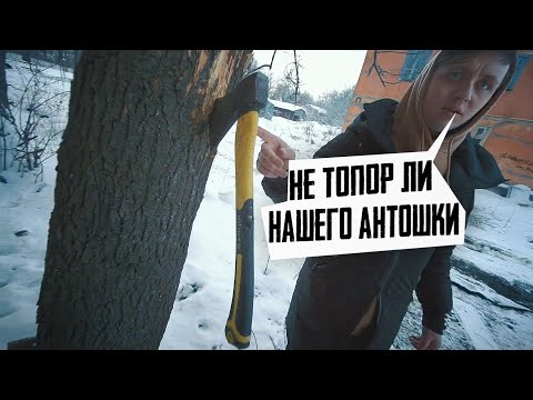 НИ ТОПОР ЛИ НАШЕГО АНТОШКИ😏 | МАКС ВАЩЕНКО