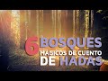 6 Bosques MÁGICOS de cuentos de hadas