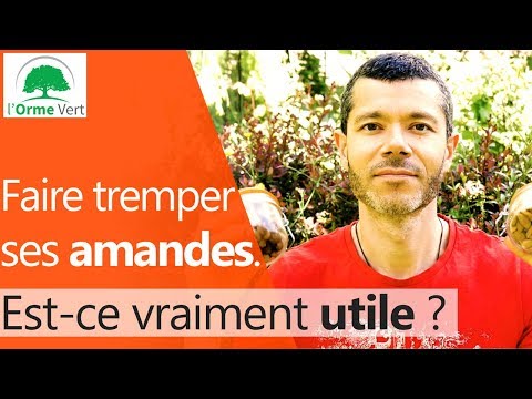 Faire tremper ses noix, noisettes ou amandes. Est-ce que ça a un réel intérêt ? [2019]