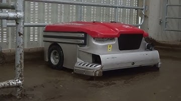 Lely Discovery Collector