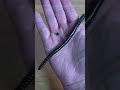 ウィップクローラー5.5のジグヘッドワッキー