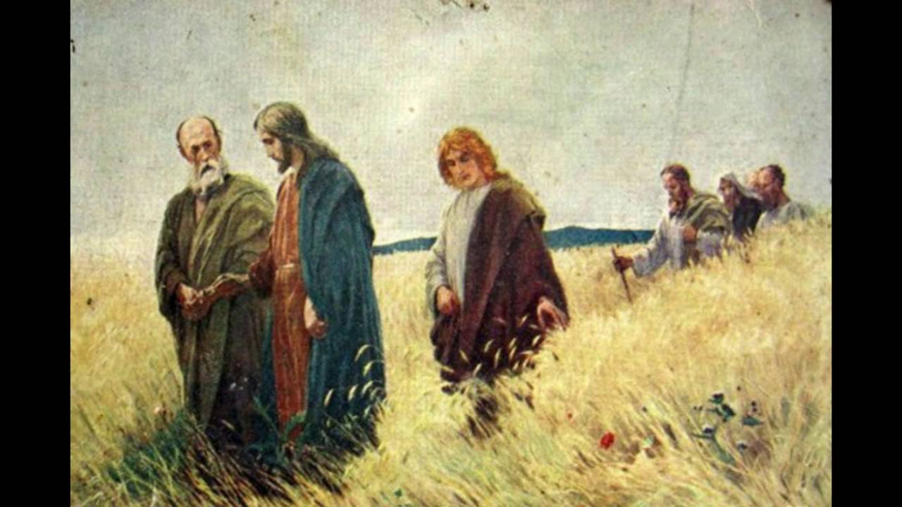 Евангелие от Матфея (Глава - 12) Библия. Новый завет. - YouTube