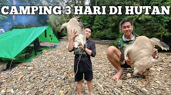 Camping 3 hari Hujan Heras di Hutan Adventure Fishing Camp Overnight Bertahan Dalam Cuaca Extrem