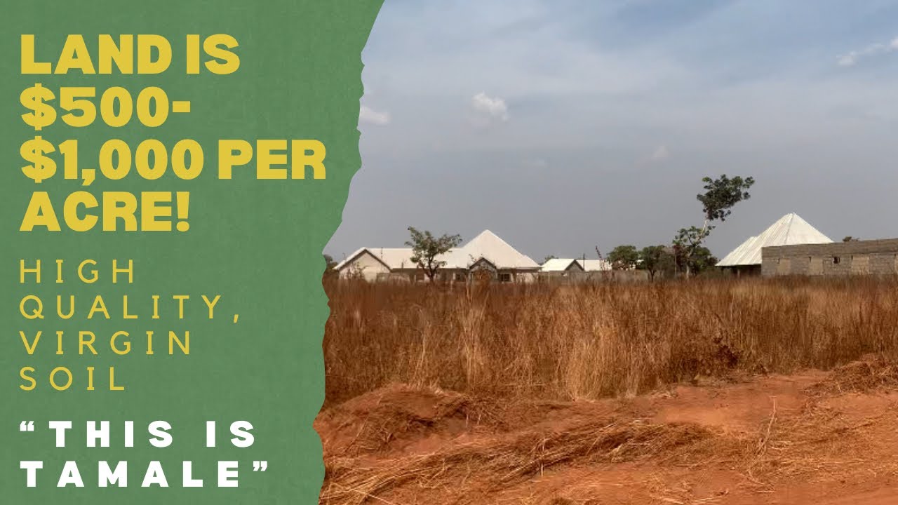 Land is 5001,000 per acre in Tamale! Skip Accra and come to the