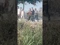 حزب حماه وطن بالمنيا مساعد امين الحزب الحج عبدلله مخيمر مبادره كتف في كتف
