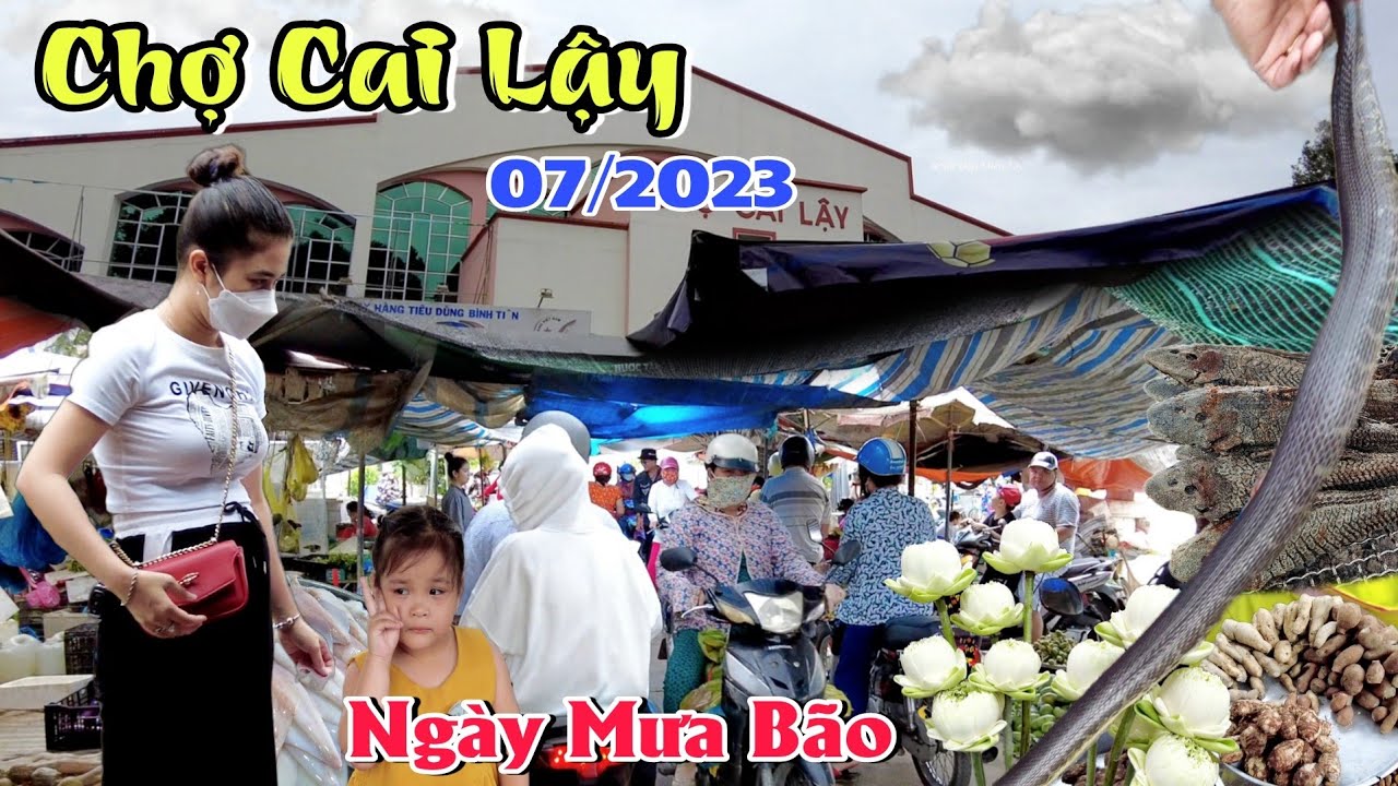 Phát Hiện Nhiều Đặc Sản Chợ Cai Lậy Tiền Giang Cá Trê, Cá Lau Kiếng, Lươn, Rắn Hổ.. Nét Đẹp Miền Tây
