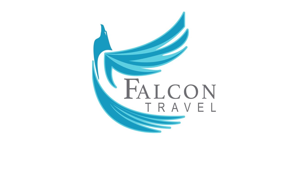 falcon travel llc