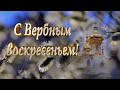 Красивое поздравление с Вербным воскресеньем!