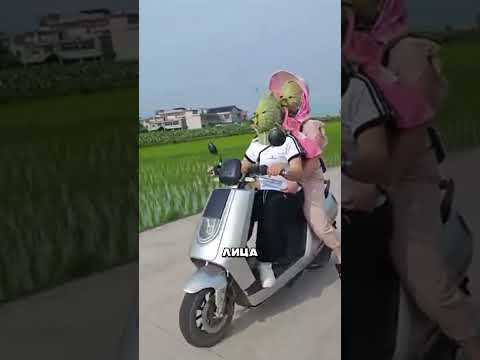 Маска из лотоса от солнца #факты #технологии #мото #путешествия #китай