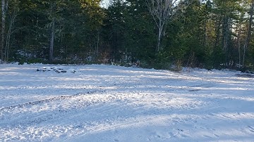 2019 polaris 850 assault mbrp race can