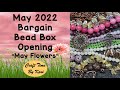 May 2022 Bargain Bead Box Opening