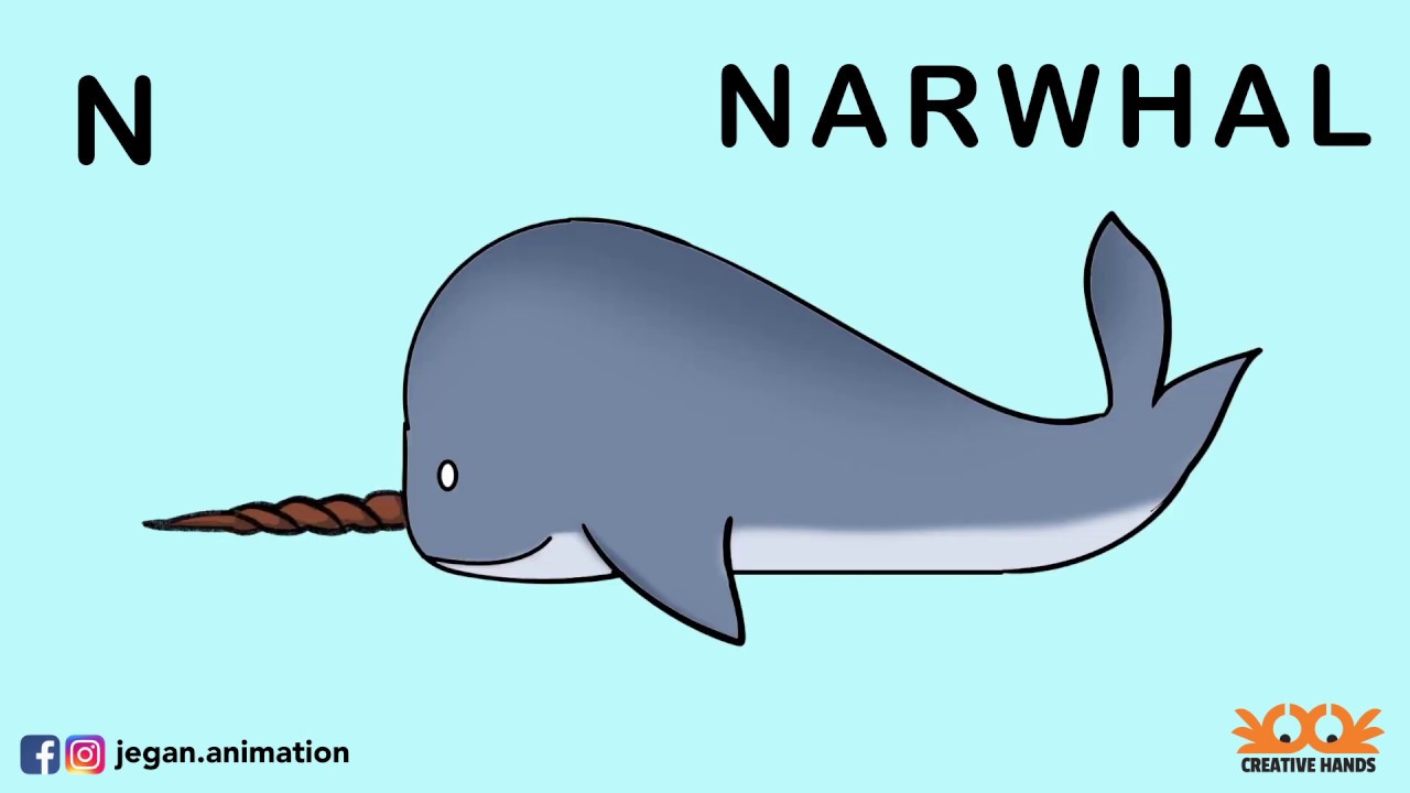 Learn to Draw - NARWHAL - YouTube