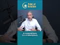 The Path of Wisdom | Thomas Hübl #shorts