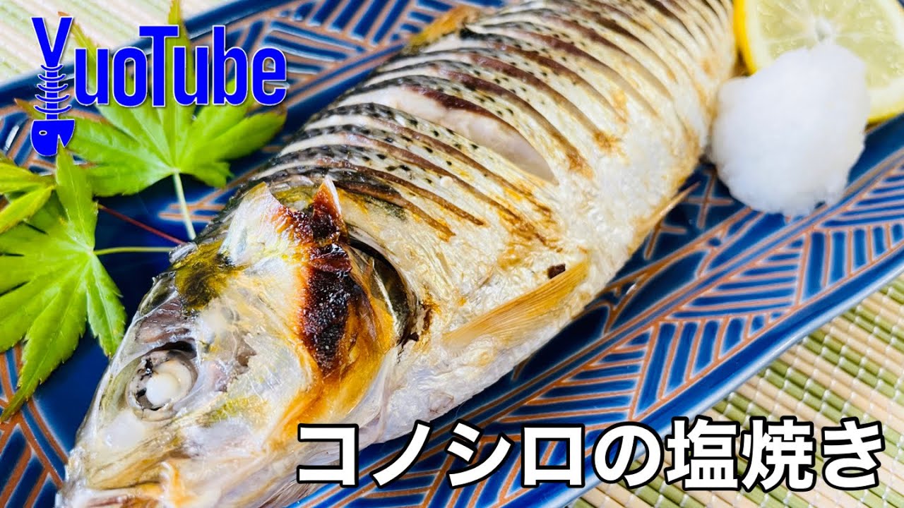 コノシロの塩焼き Youtube