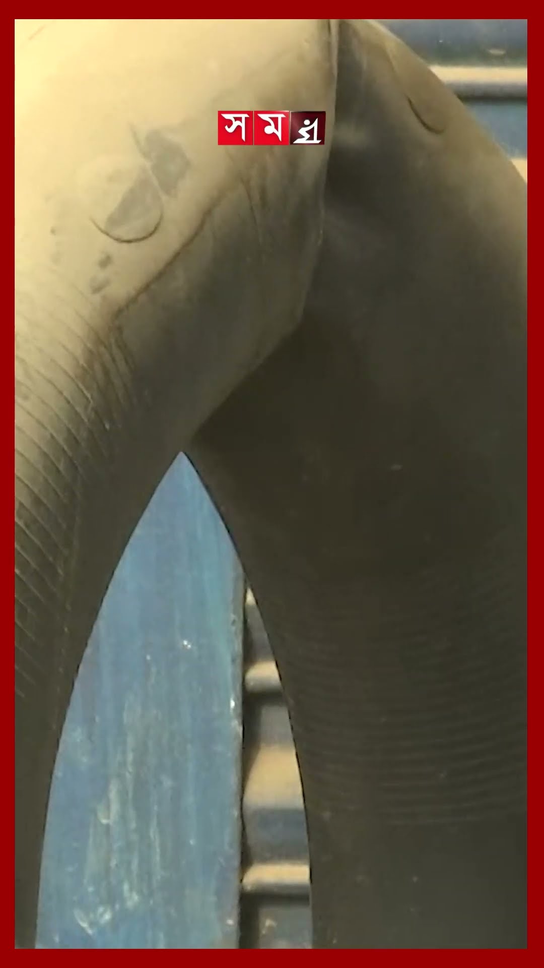 ধুলায় ধূসর চারপাশ, বাড়ছে শ্বাসকষ্ট #sylhet #environment #pollution #shorts #somoytv